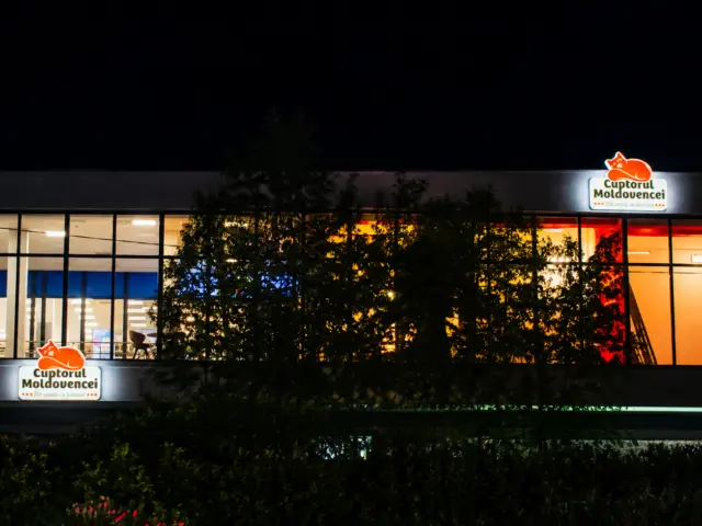 Two illuminated Cuptorul Moldovencei signs mounted on a glazed facade at night.