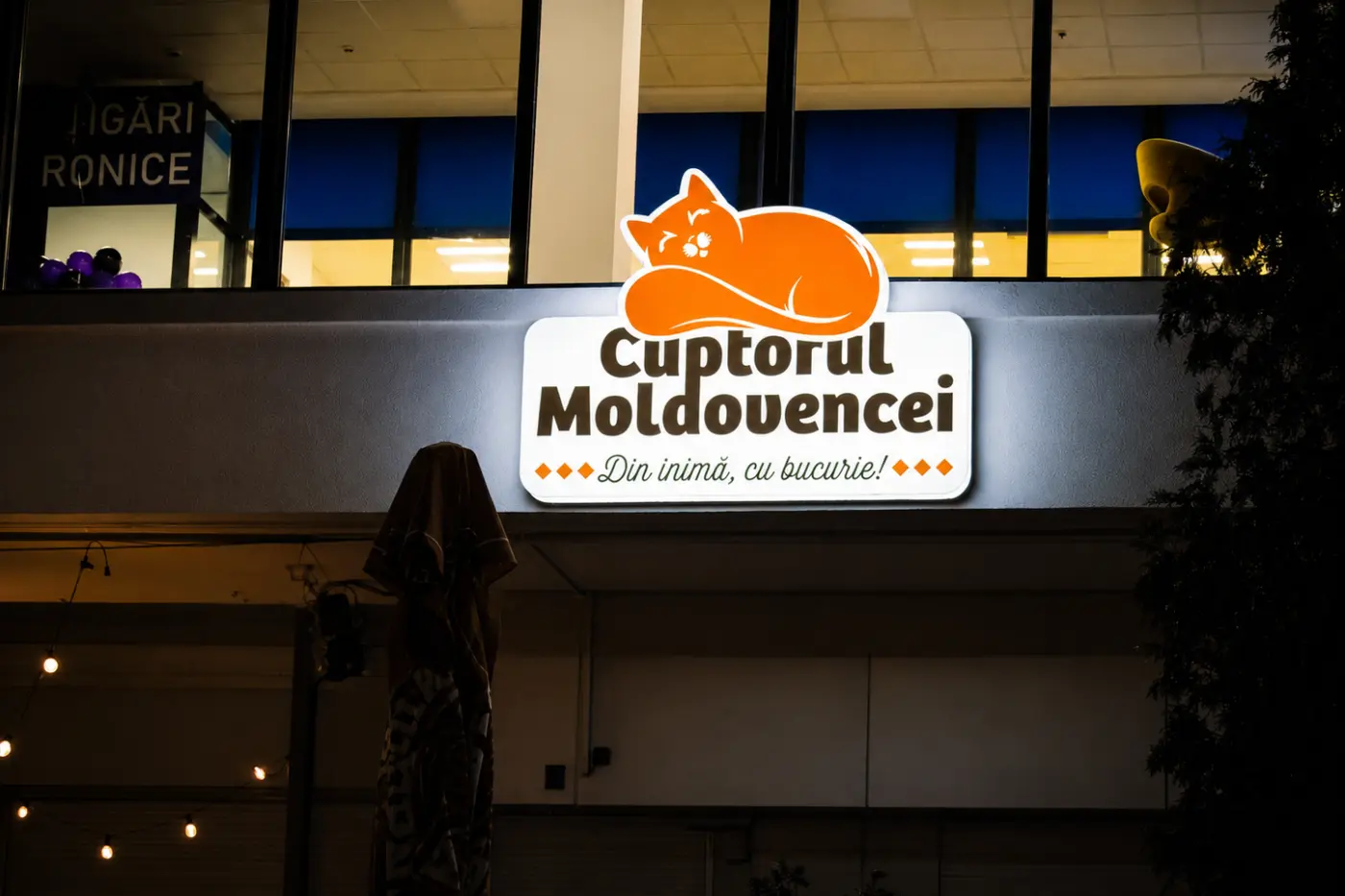 Firmă luminoasă Cuptorul Moldovencei, cu pisică portocalie, montată pe fațada clădirii și surprinsă noaptea.