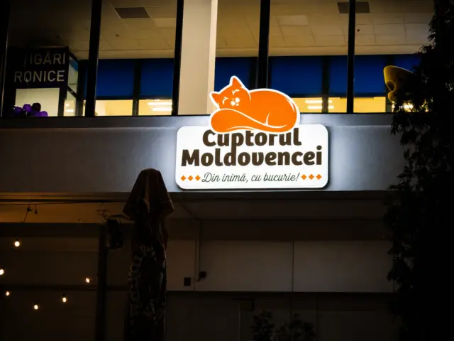 Illuminated Cuptorul Moldovencei facade sign featuring an orange cat emblem, viewed at night.