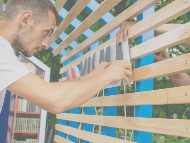 Structuri și proiecte speciale