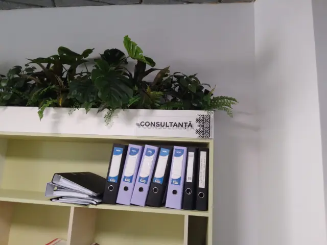 Plăci direcționale