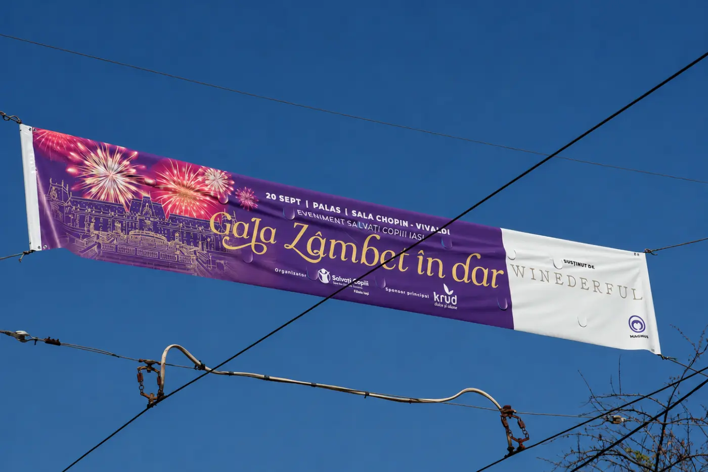 banner stradal iasi