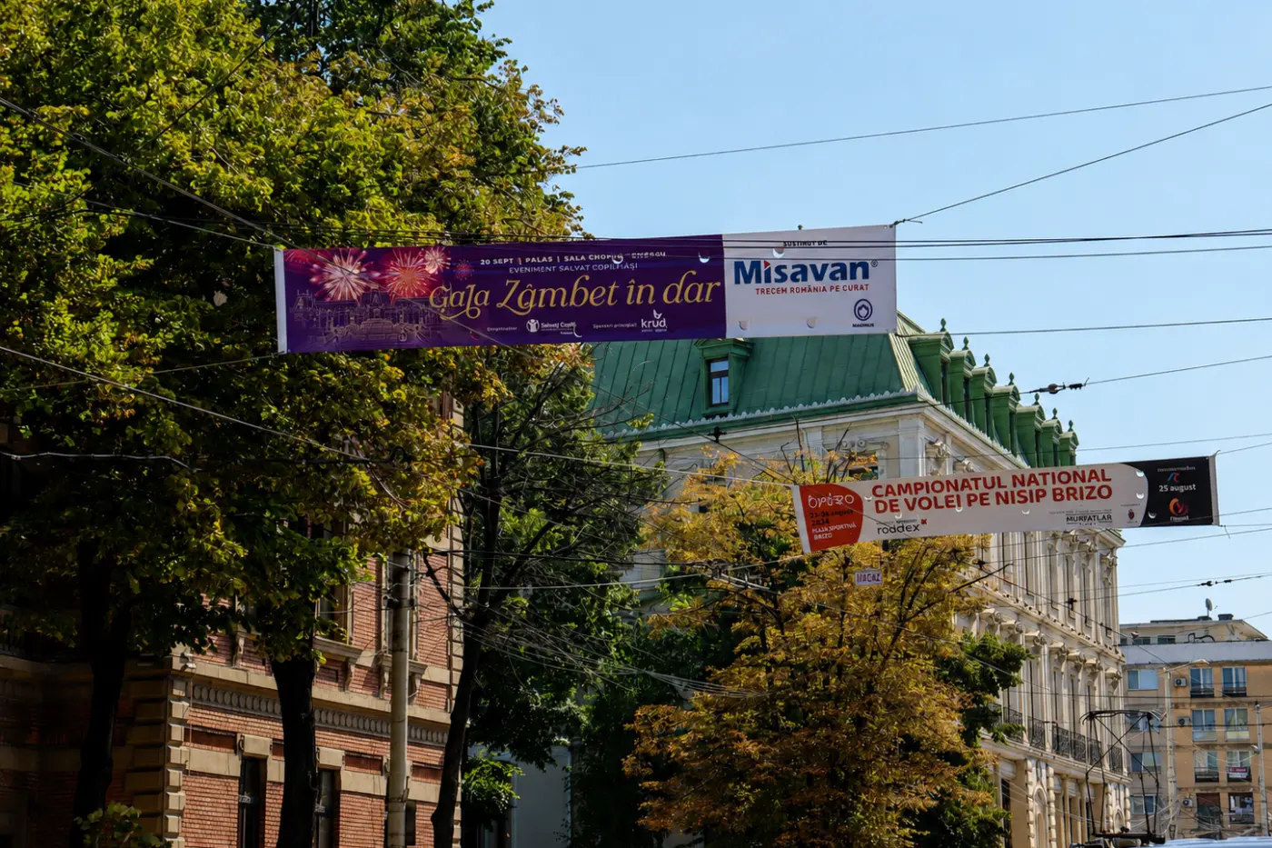 bannere stradale gala zambet in dar