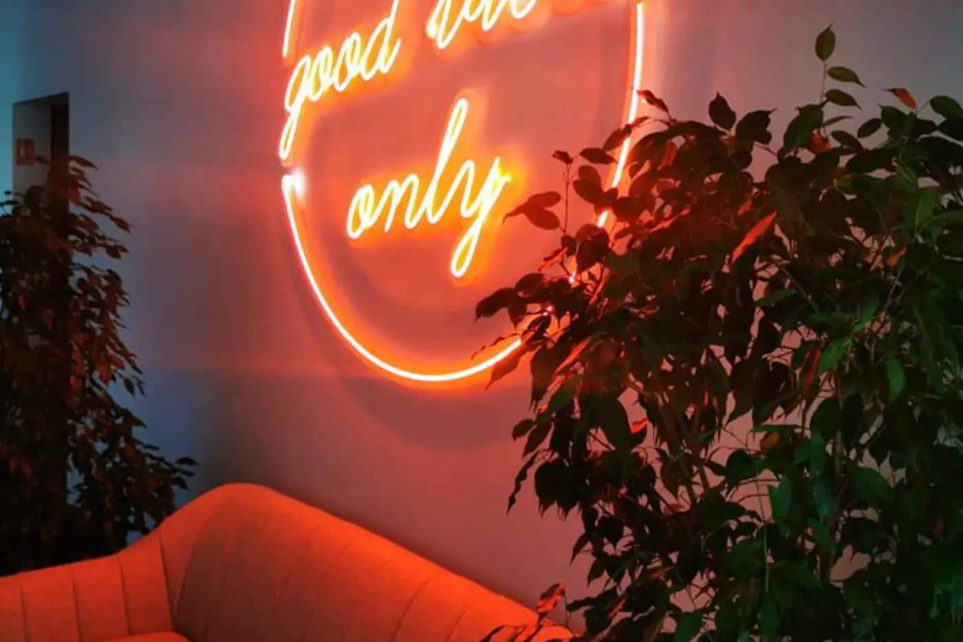 Semn circular din Neon Flex cu mesajul „good vibes only”, montat pe perete lângă o canapea și plante.
