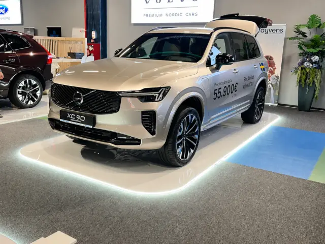 stand showroom auto magnius