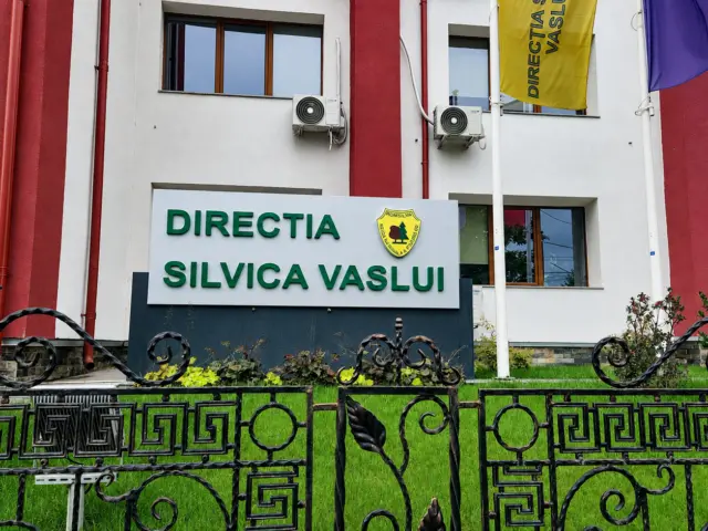 totem orizontal magnius vaslui